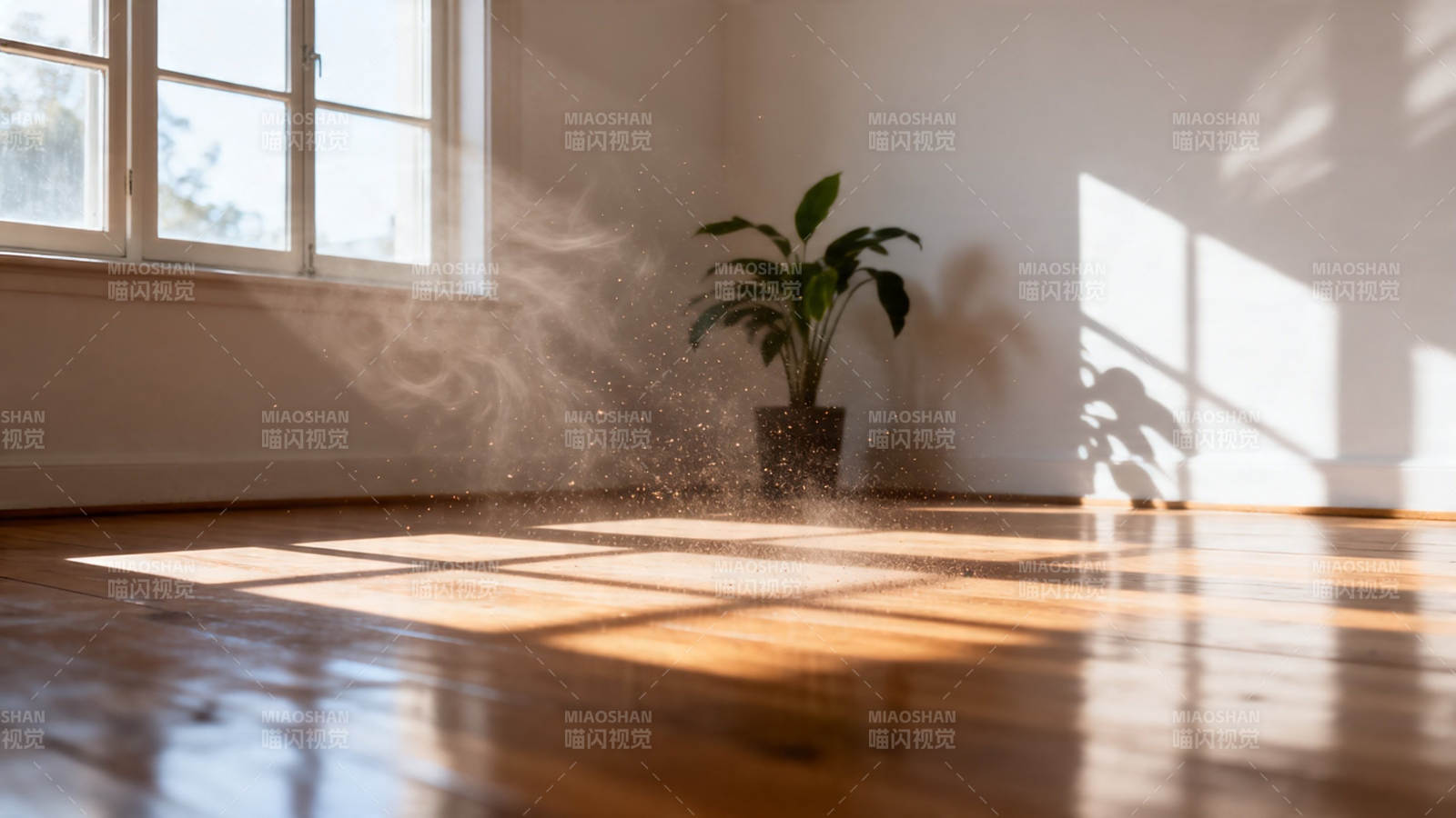 阳光洒落 尘埃飞舞静室图片