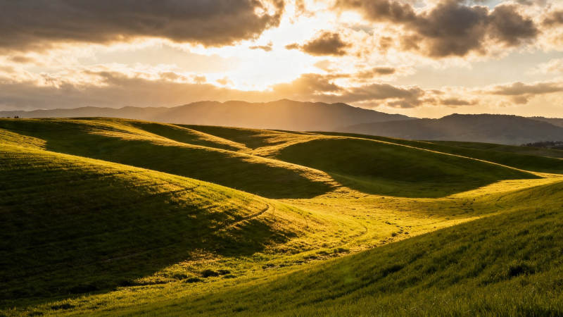 夕阳金辉洒绿野山丘图片
