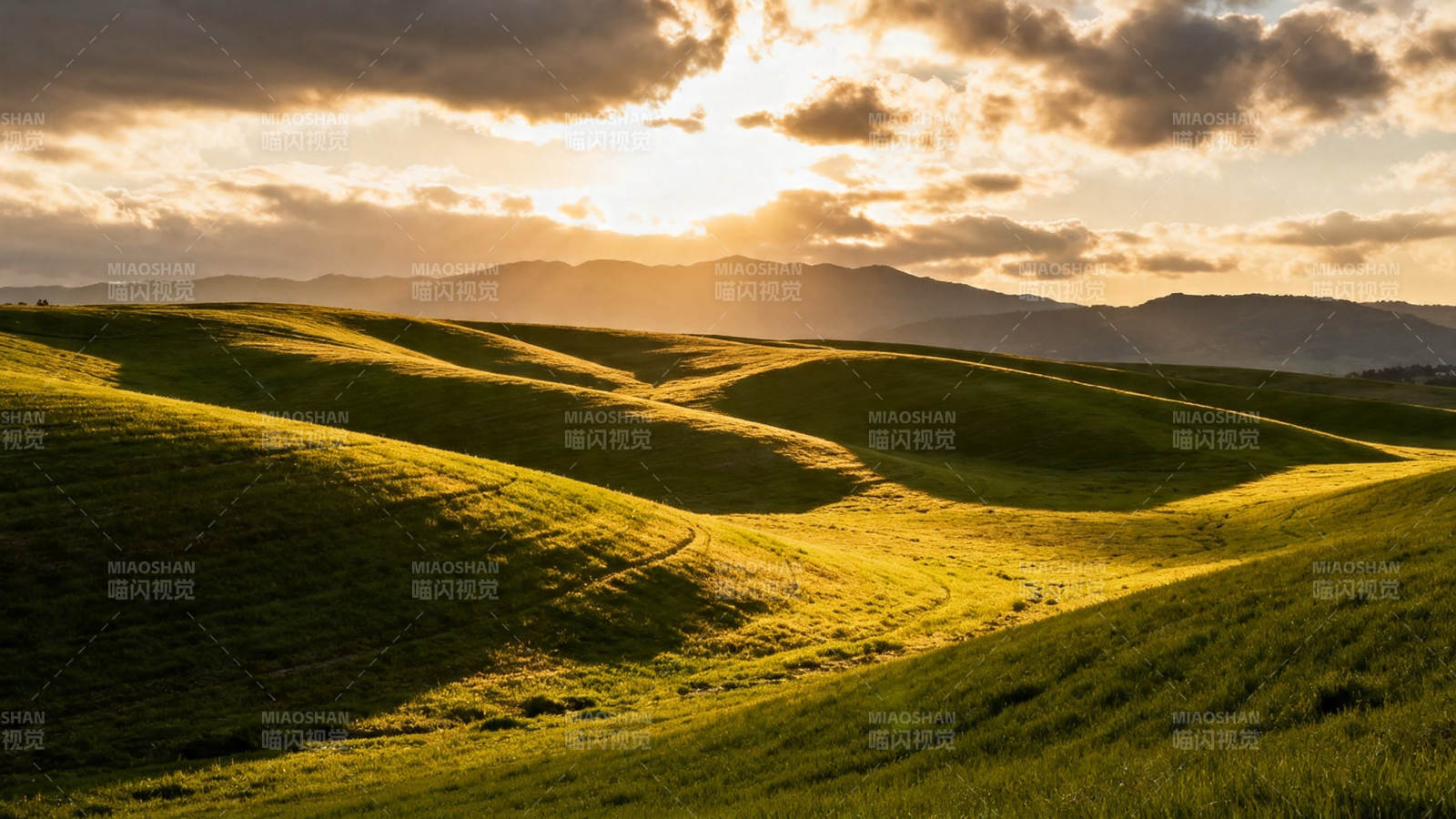 夕阳金辉洒绿野山丘图片