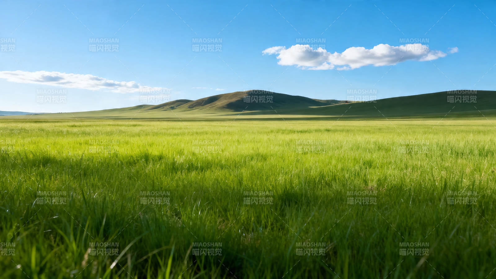 绿野千里 蓝天如洗图片