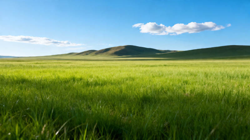 绿野千里 蓝天如洗图片