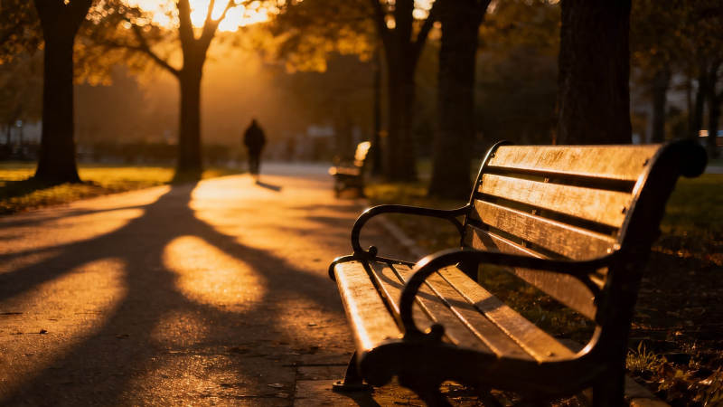 秋日黄昏 长椅静候归人图片