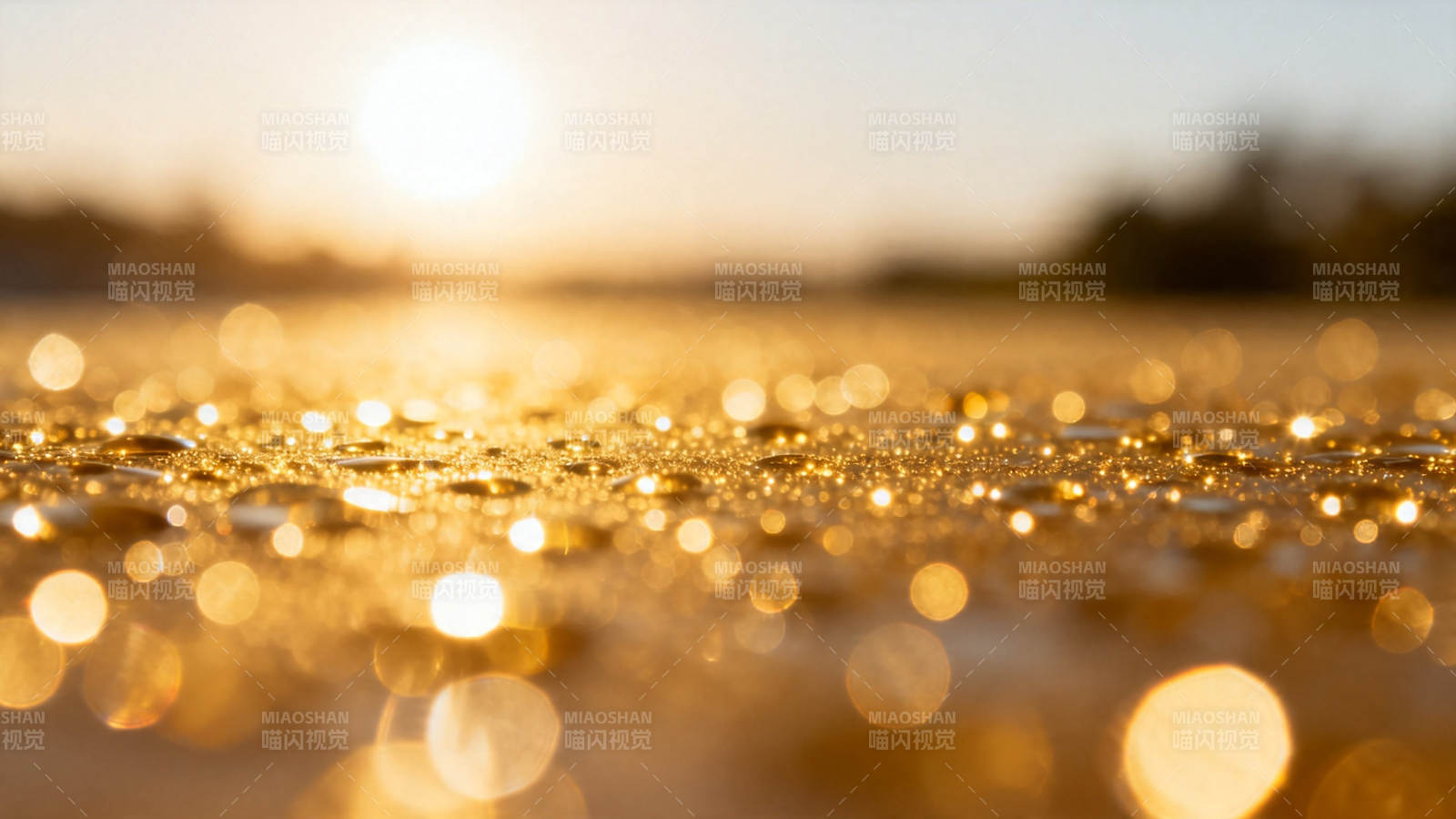 夕阳金辉洒落水面波光粼粼图片