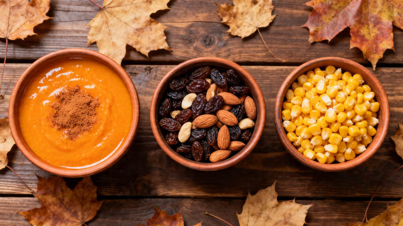 秋日三碗 南瓜糊 坚果 玉米粒图片