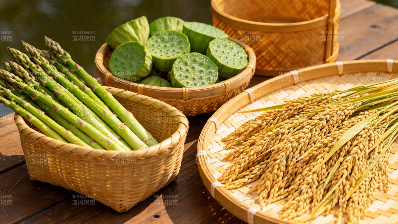 竹篮盛鲜蔬 稻香满秋盘图片