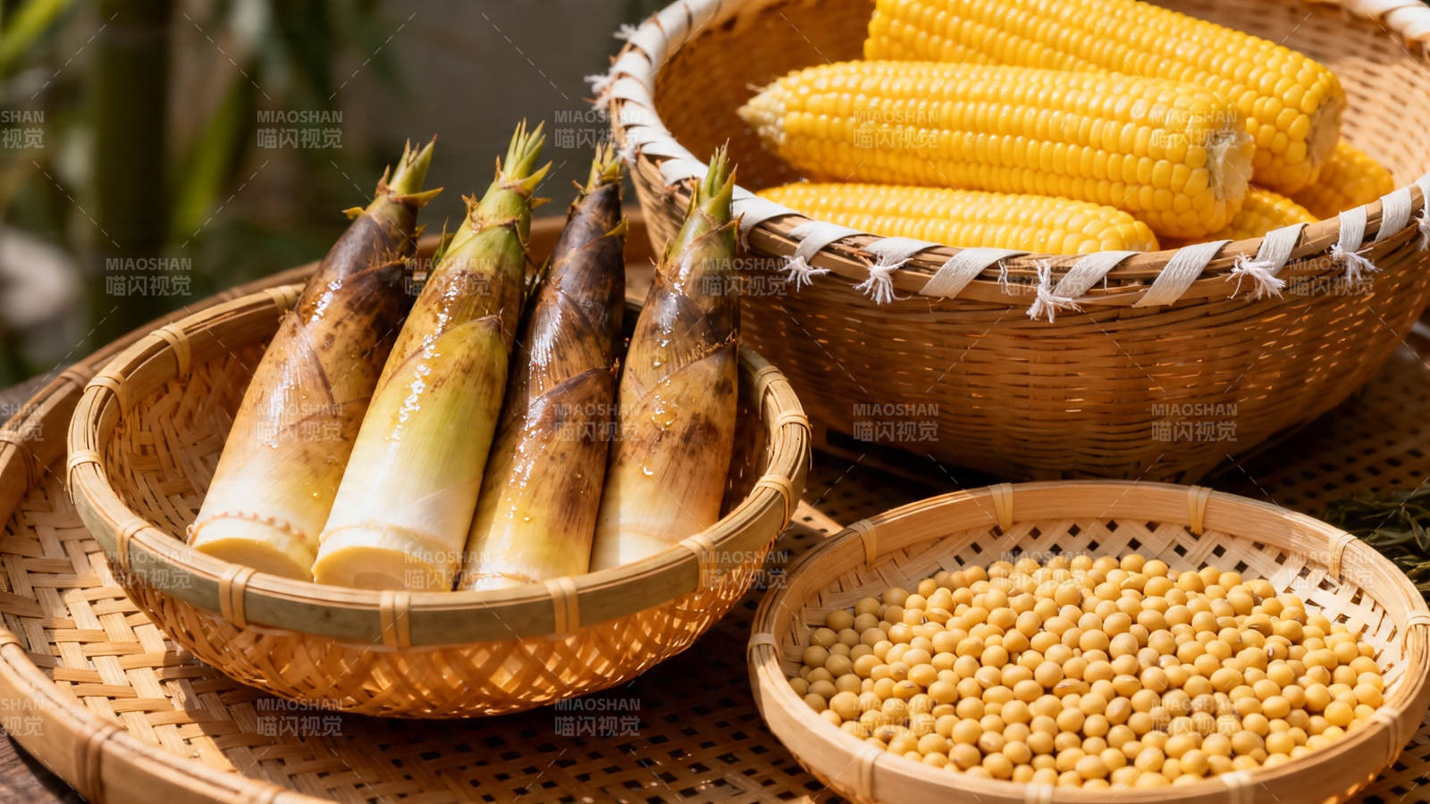 竹篮盛玉米笋豆 秋日丰收景图片