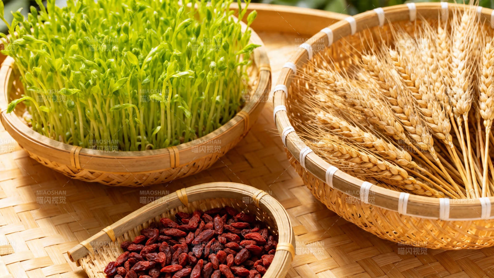青苗麦穗枸杞篮中鲜图片