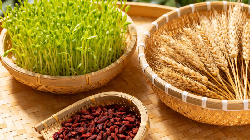 青苗麦穗枸杞篮中鲜图片