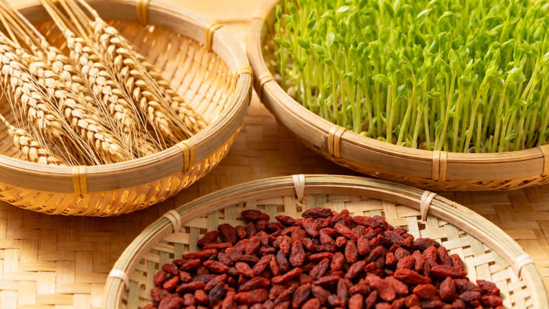 麦穗 豆芽 枸杞篮中景图片