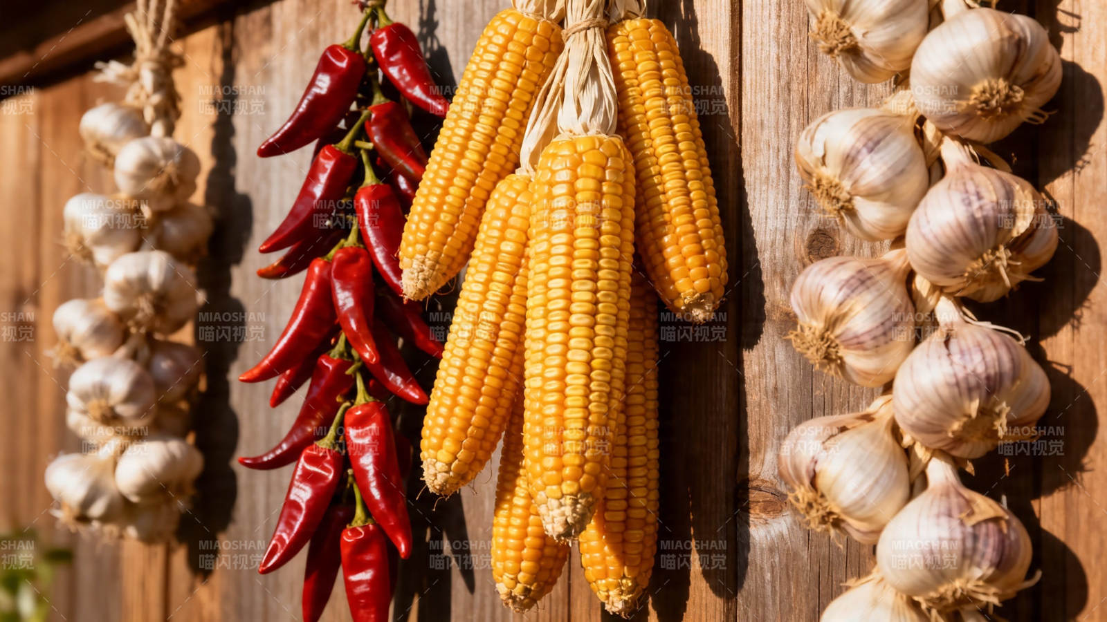 玉米辣椒蒜头挂墙晒秋图片
