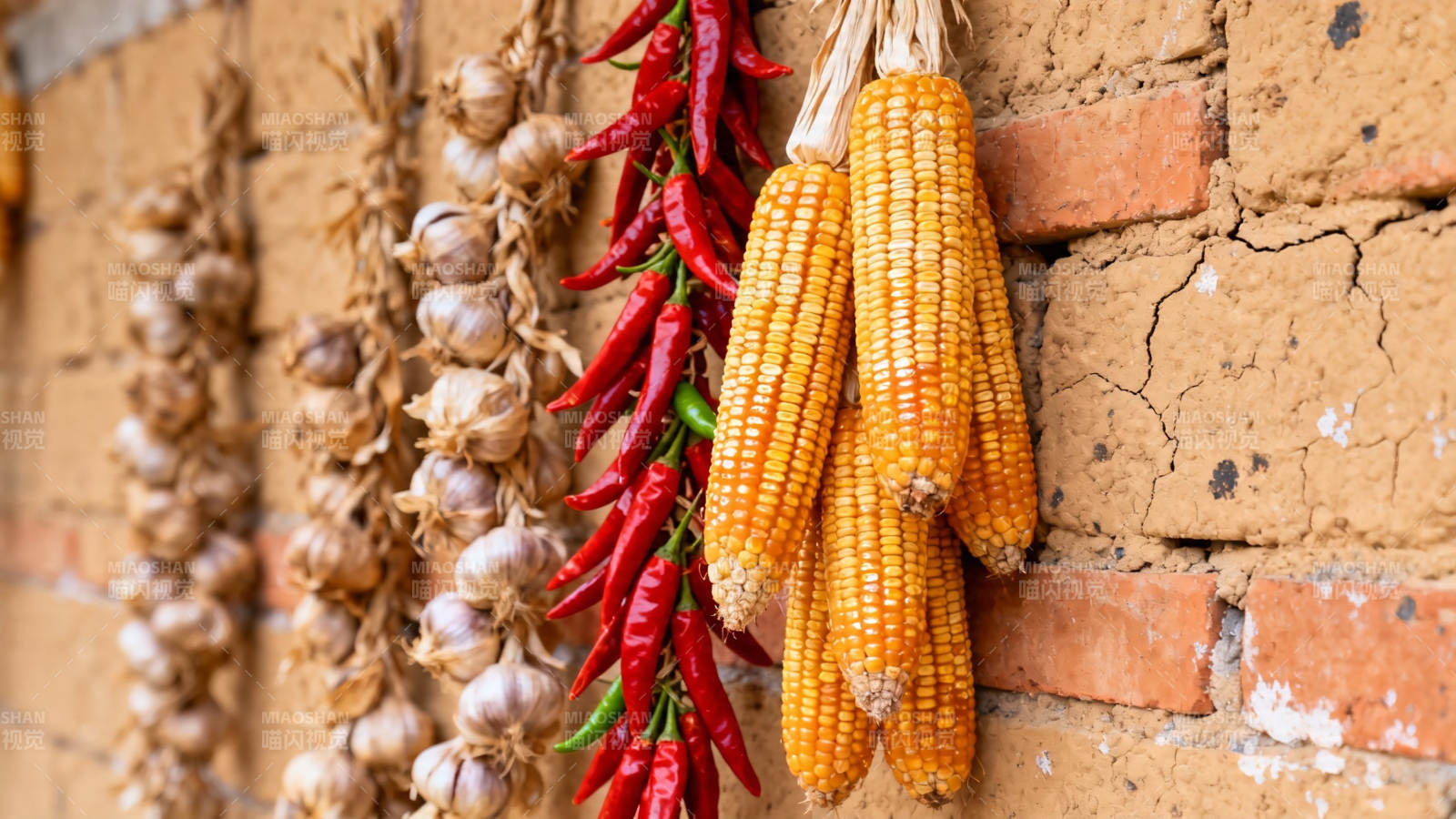 农家墙挂玉米辣椒蒜串图片