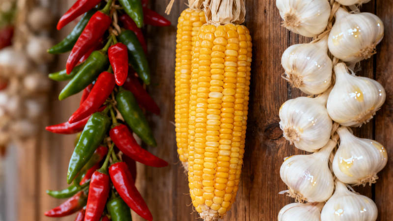 玉米辣椒蒜 农家风味浓图片