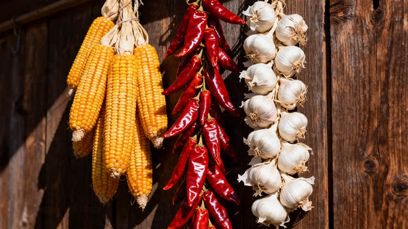 玉米辣椒蒜串挂木墙图片
