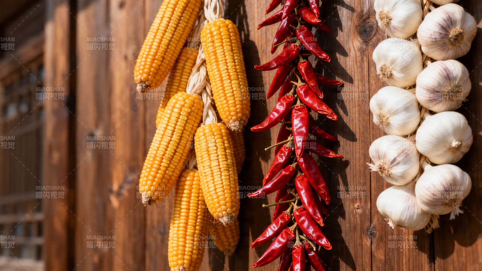 玉米辣椒蒜头挂墙晒秋景图片