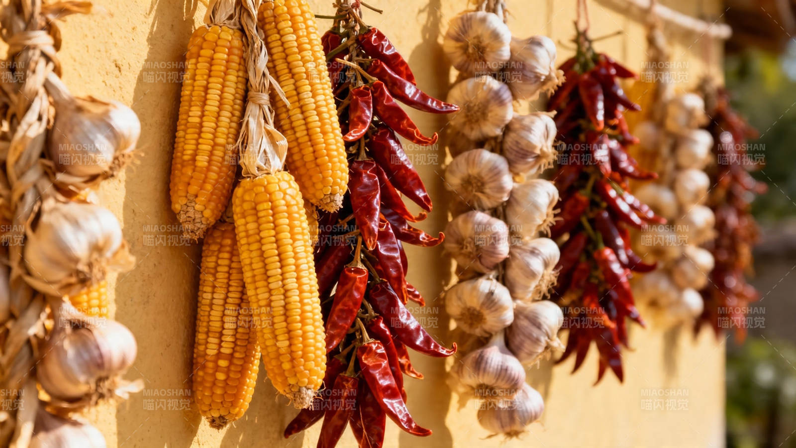 玉米辣椒蒜串挂墙晒秋图片