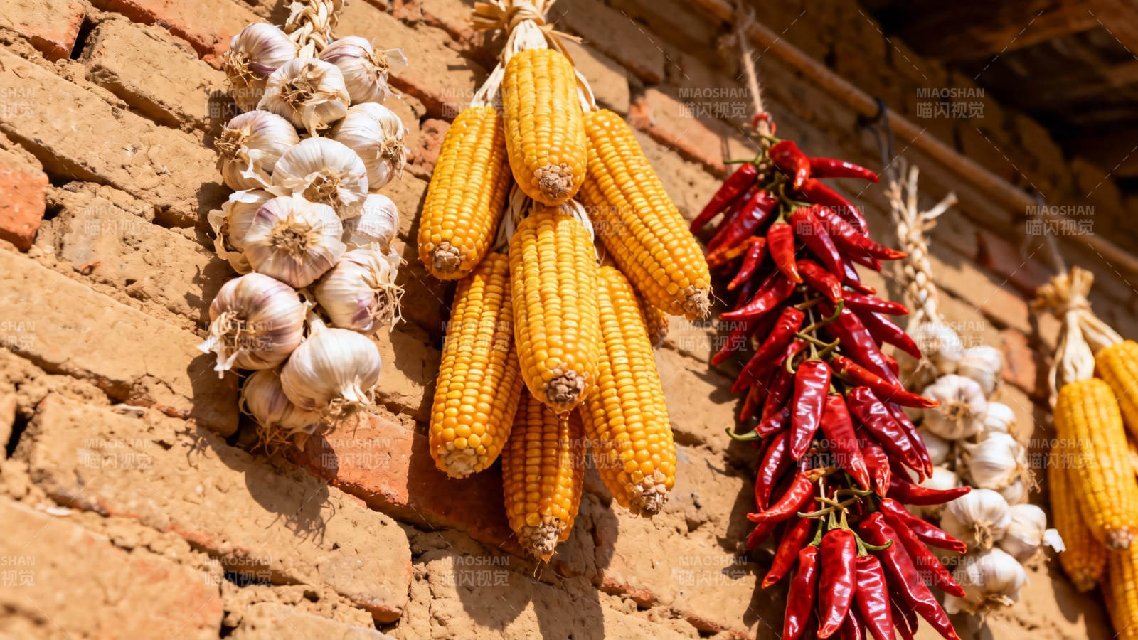 玉米辣椒蒜头挂墙晒秋图片