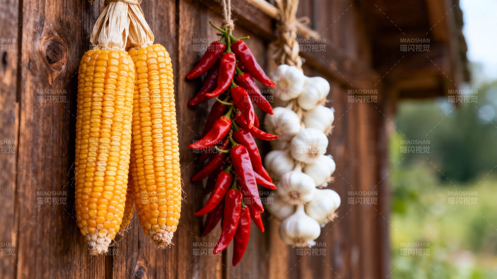 玉米辣椒蒜 农家丰收景图片