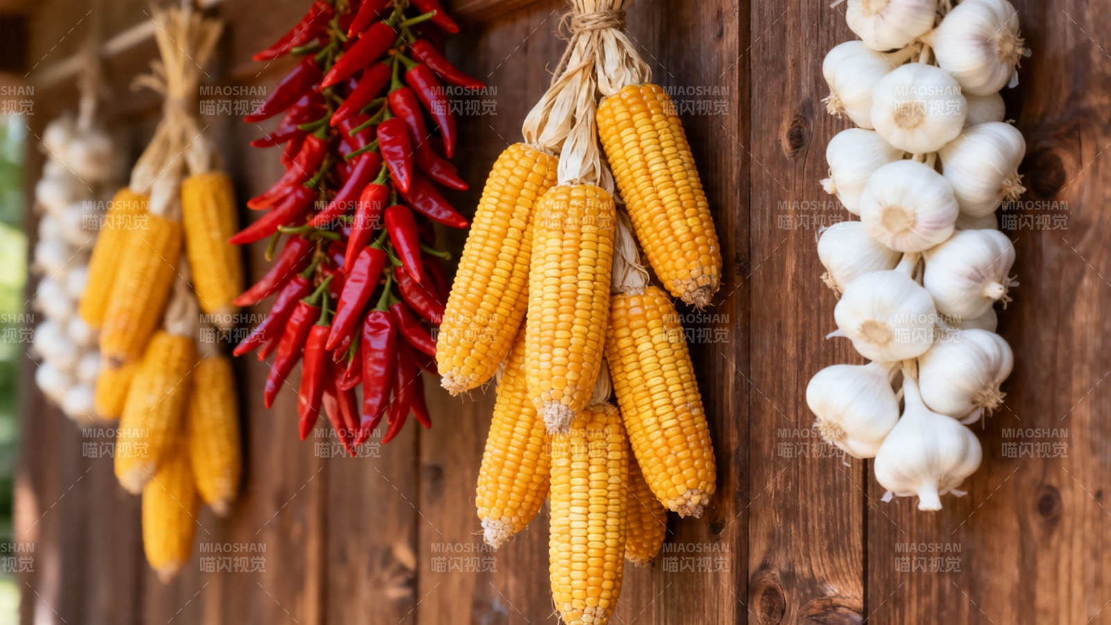 丰收挂晒 玉米辣椒蒜头图片