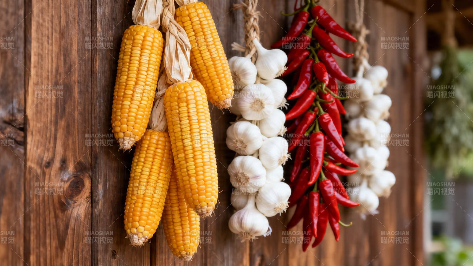 玉米辣椒蒜头挂木墙图片