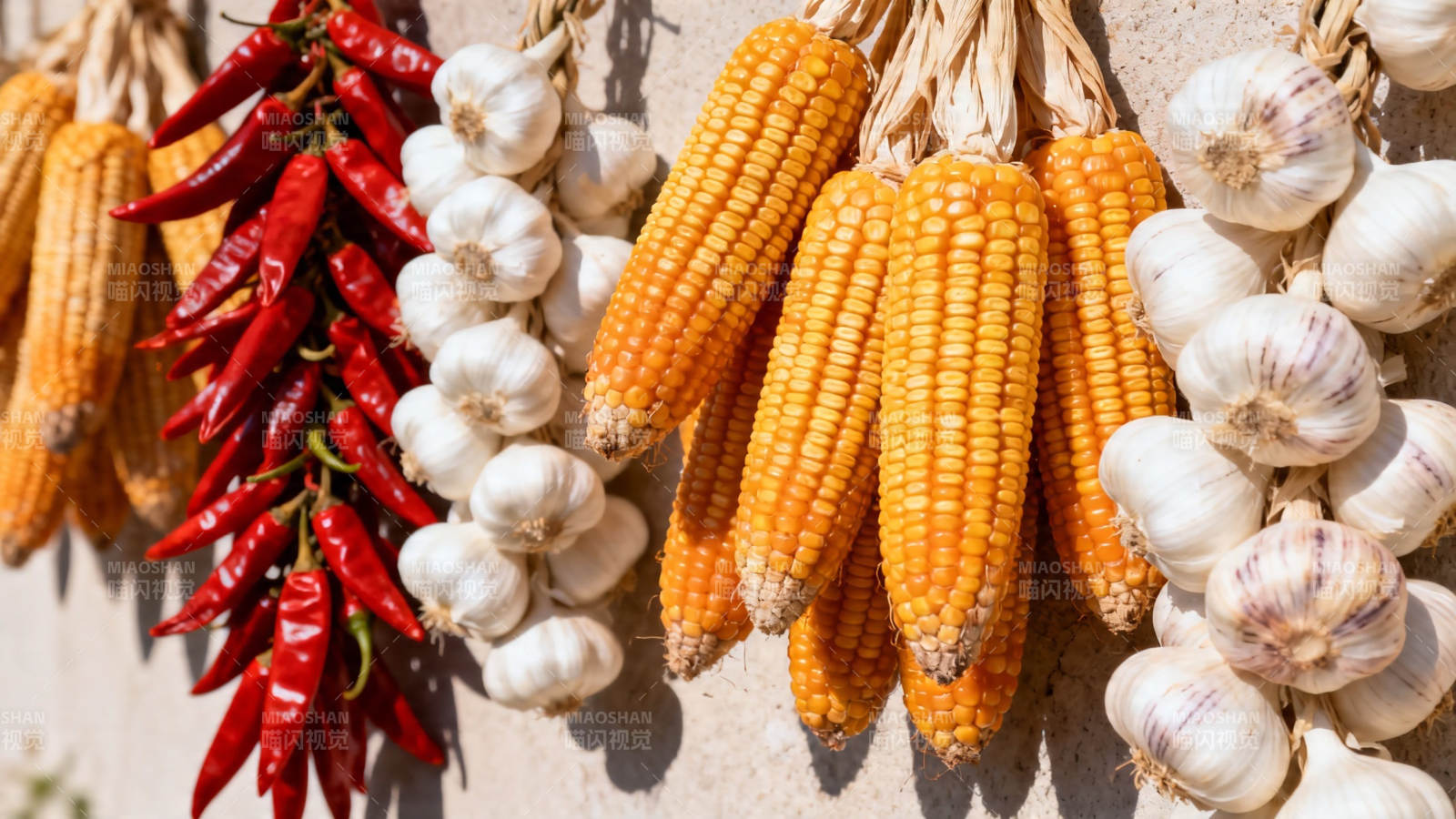玉米辣椒蒜头挂墙晒秋图片