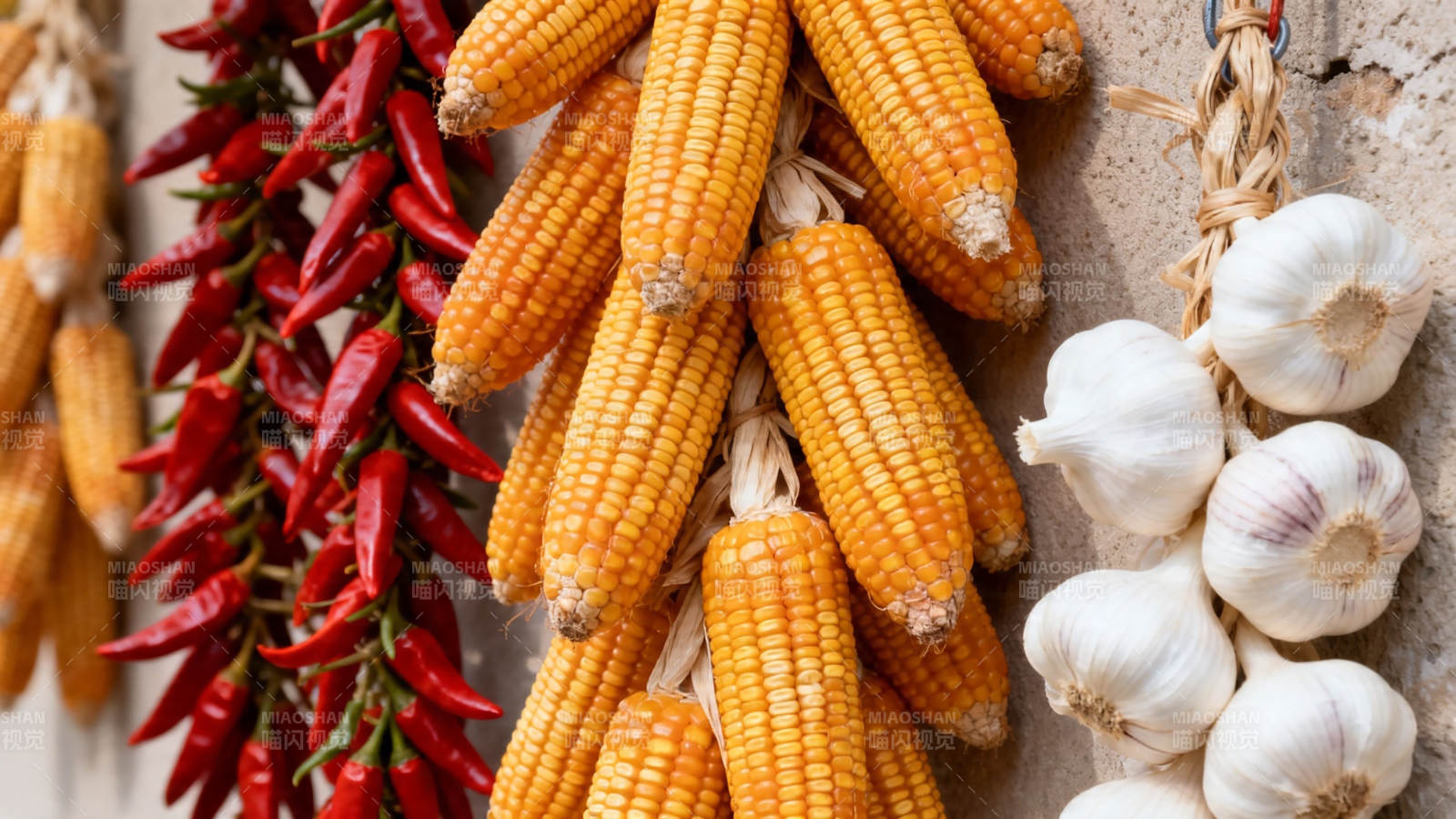 玉米辣椒蒜头挂墙晒秋图片