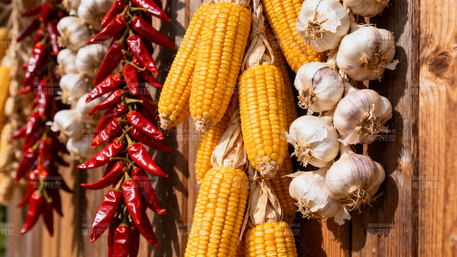 玉米辣椒蒜头挂墙丰收景图片
