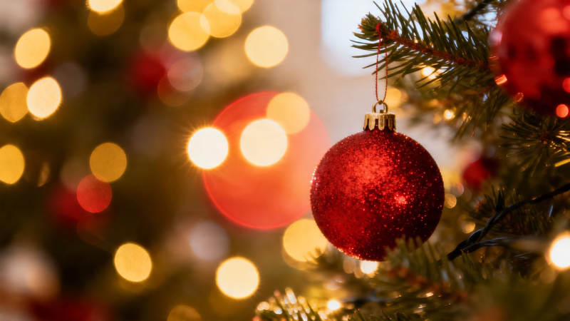 圣诞红球挂枝头 暖光闪烁迎佳节图片