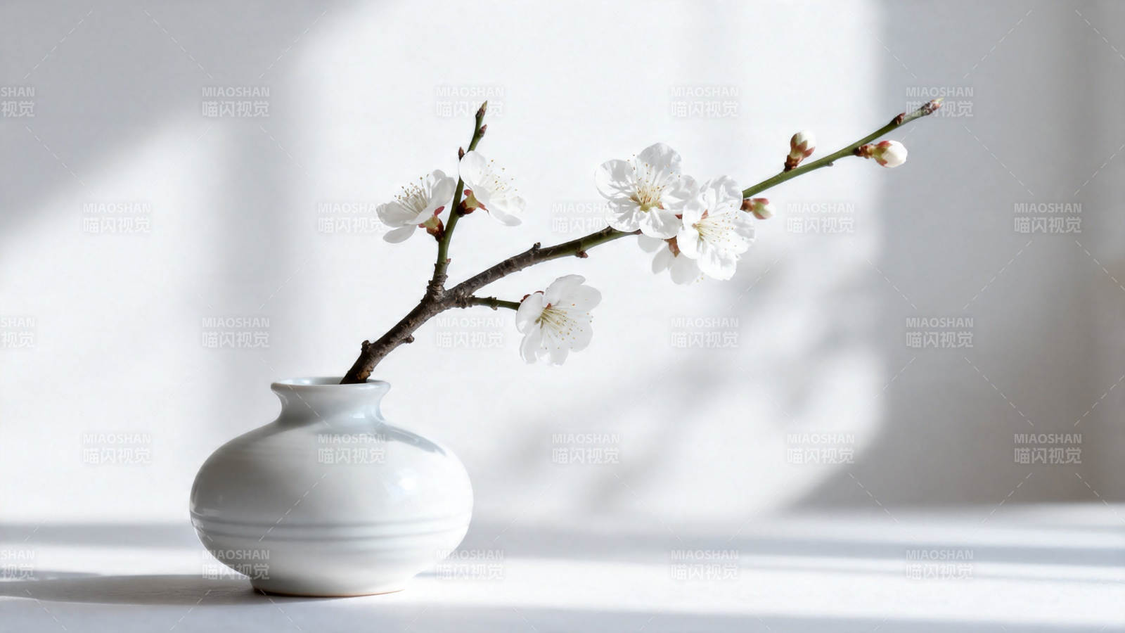 白梅映影 素瓶静雅图片