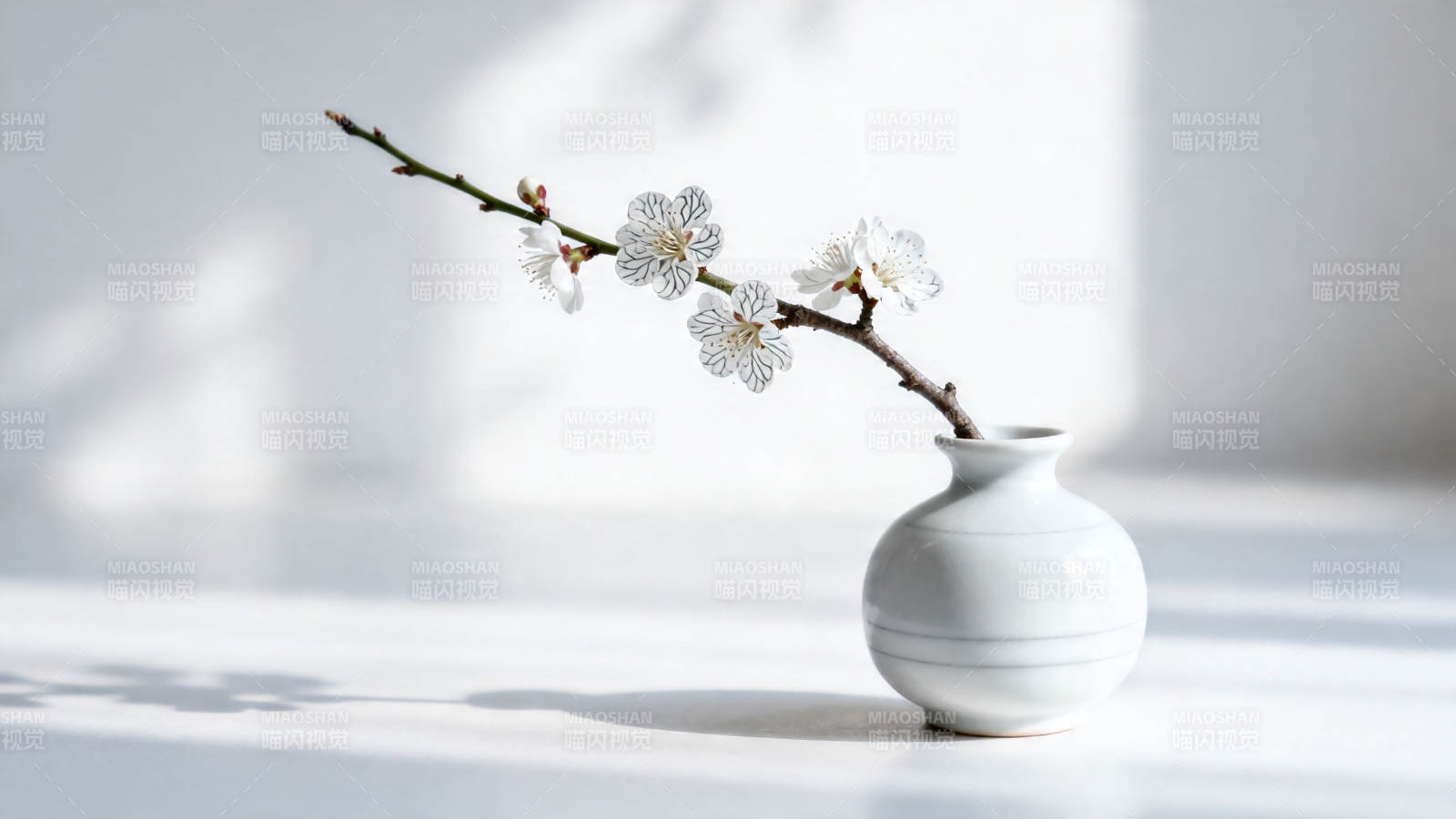 白瓶梅枝 光影静美图片