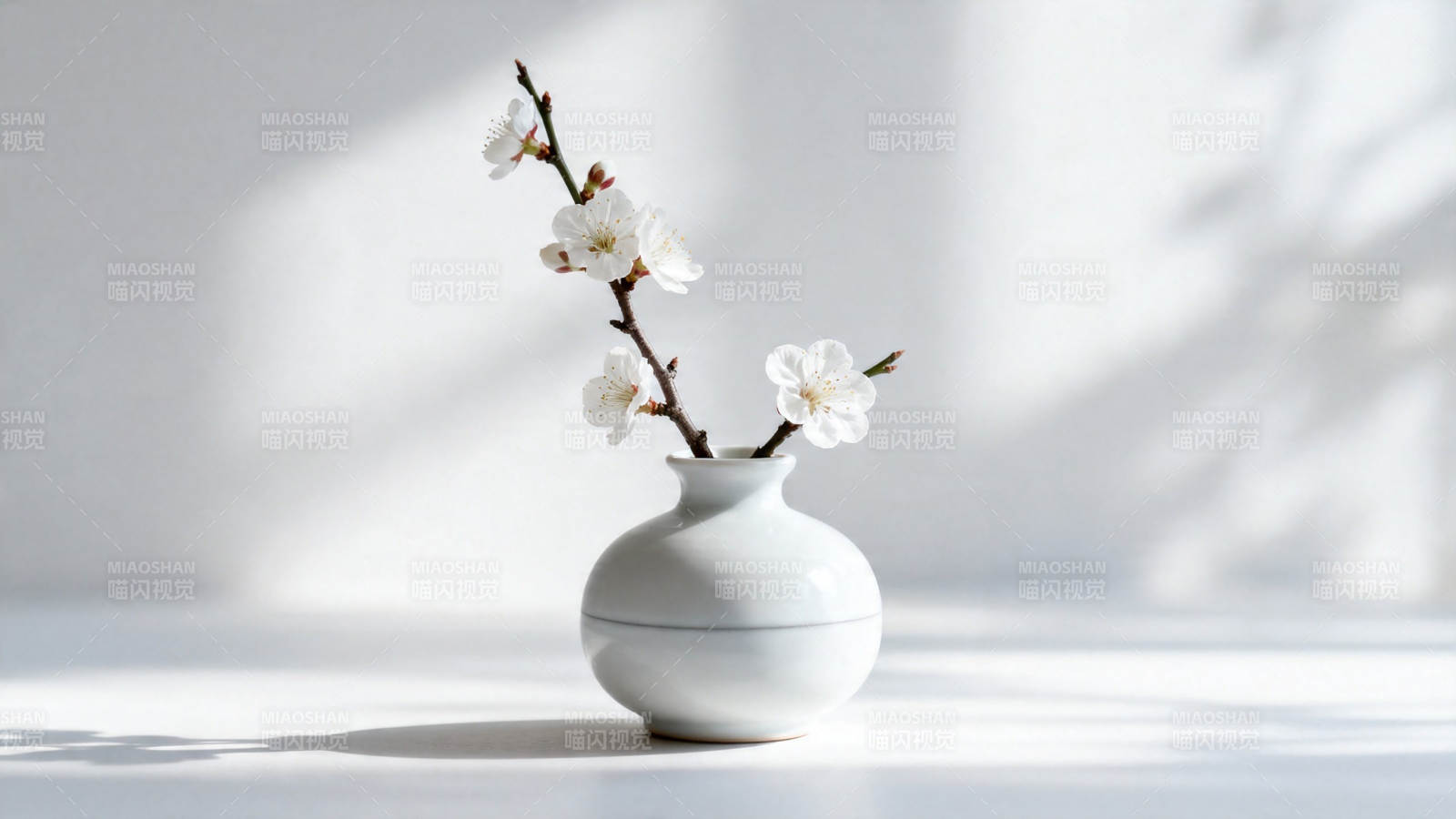 白瓷瓶插梅花 光影静谧美图片