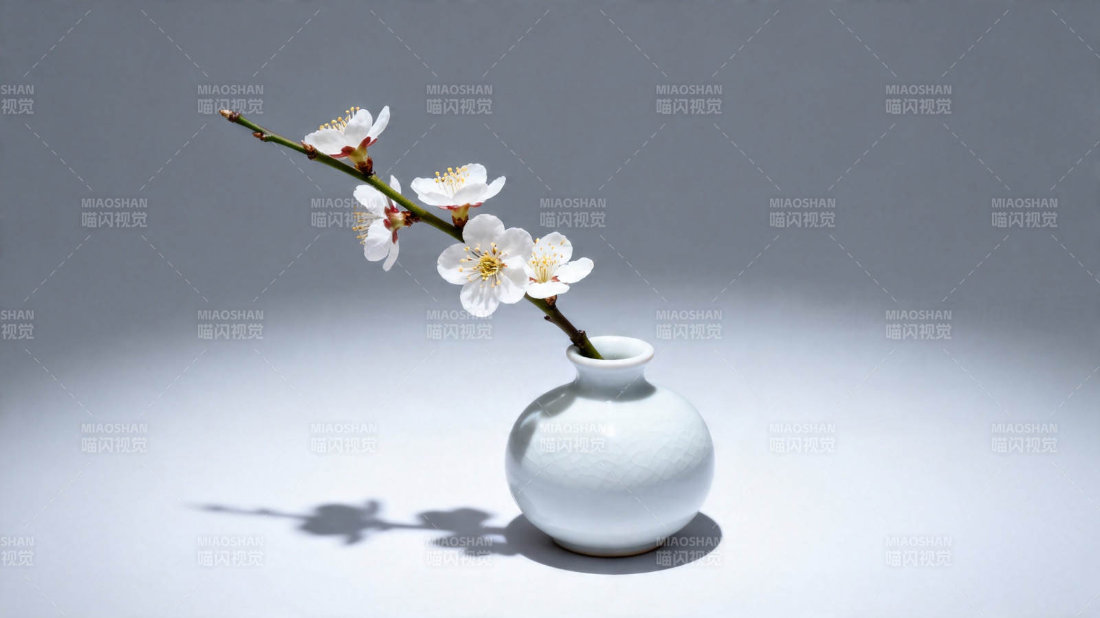白梅插瓶 静雅生辉图片