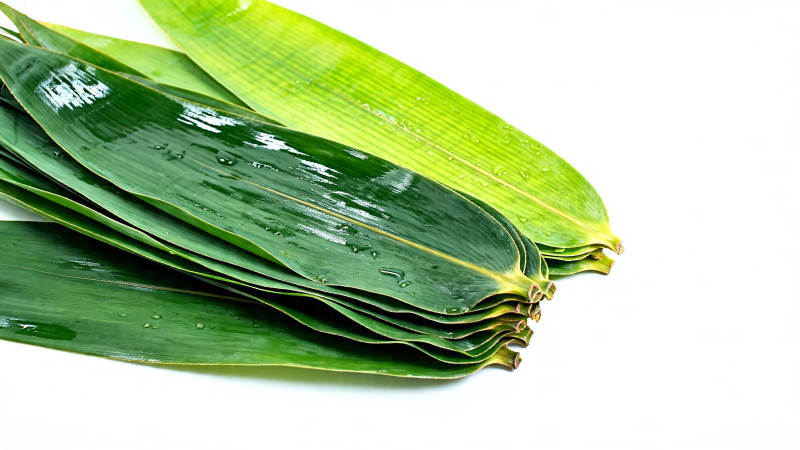 翠绿粽叶叠放 清新自然图片