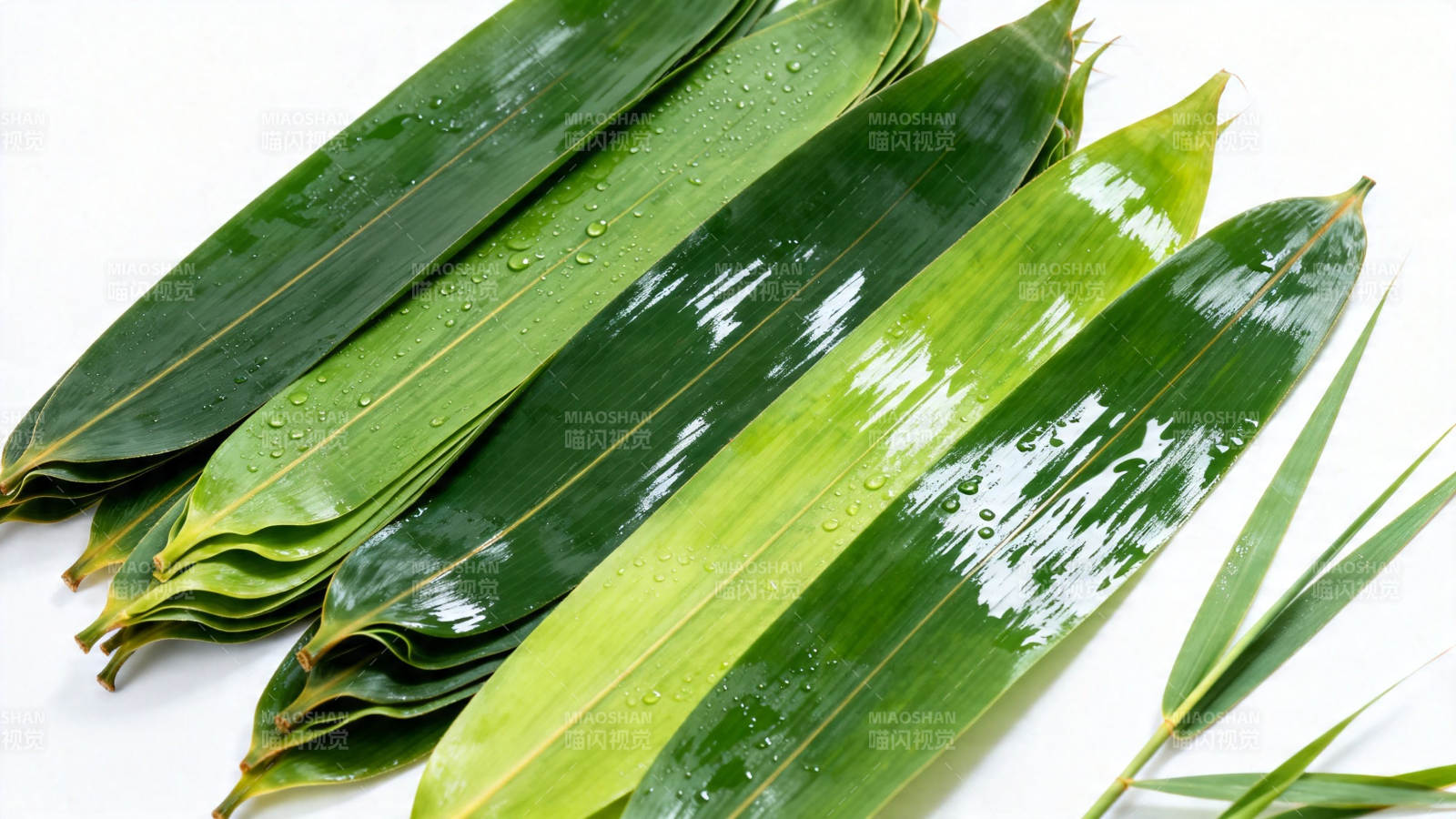 翠绿竹叶带水珠 清新自然图片