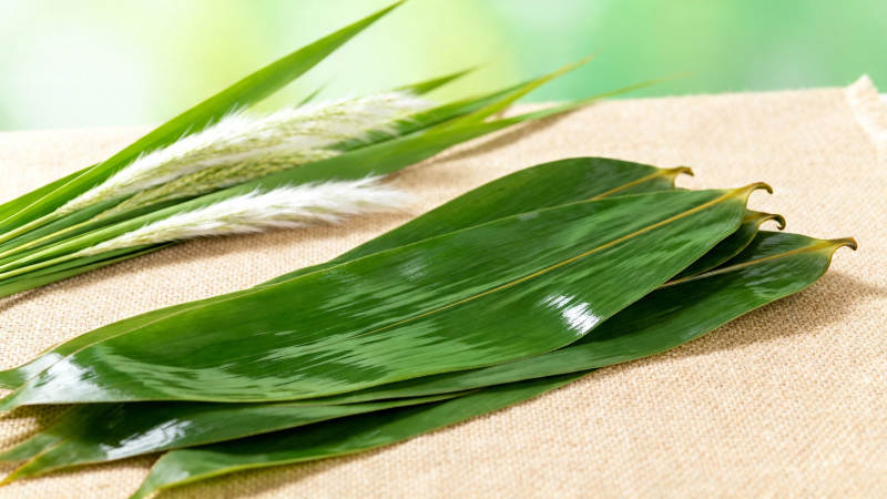 粽叶芦苇 端午清香图片