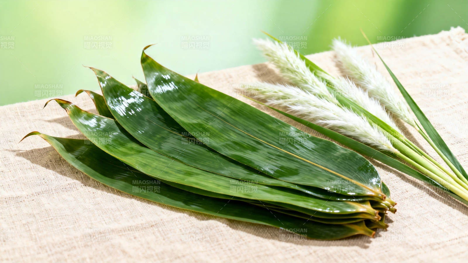 粽叶芦苇 端午清香图片