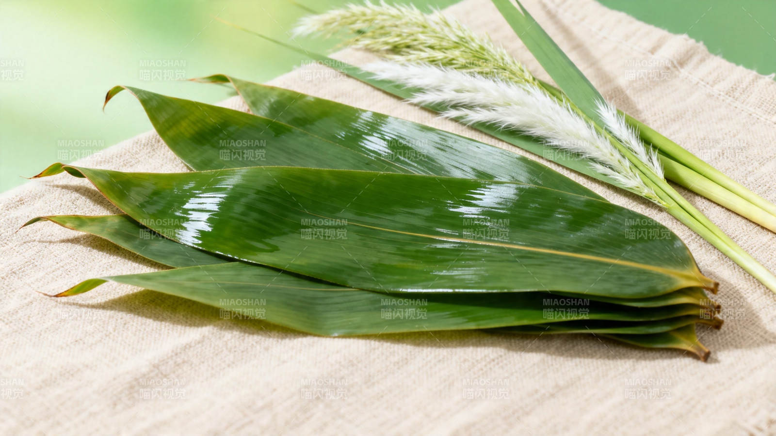 粽叶芦苇 端午清香图片