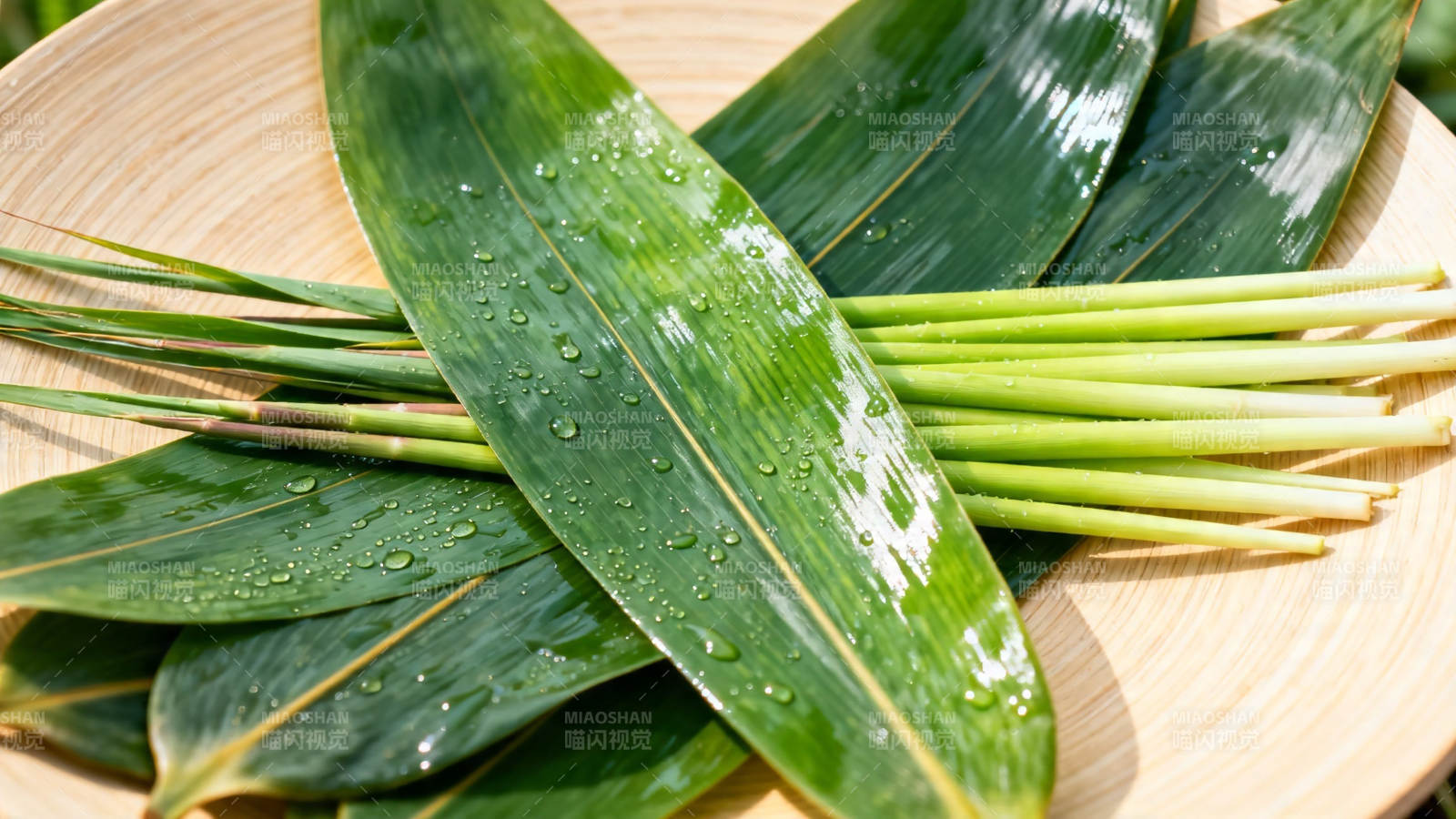 竹叶带露 清新自然图片