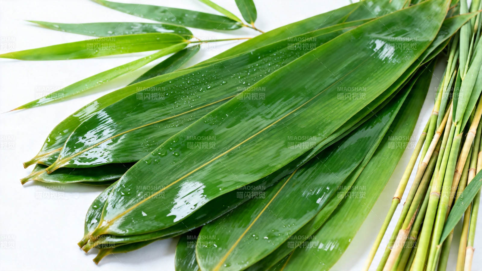 竹叶青翠 水珠晶莹图片