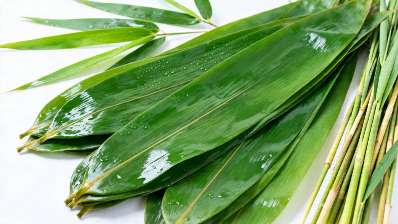 竹叶青翠 水珠晶莹图片