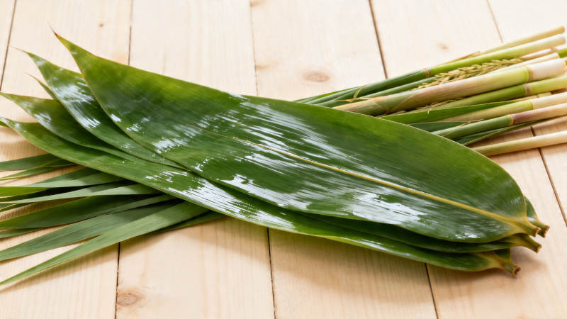 新鲜粽叶与竹枝静置木桌图片