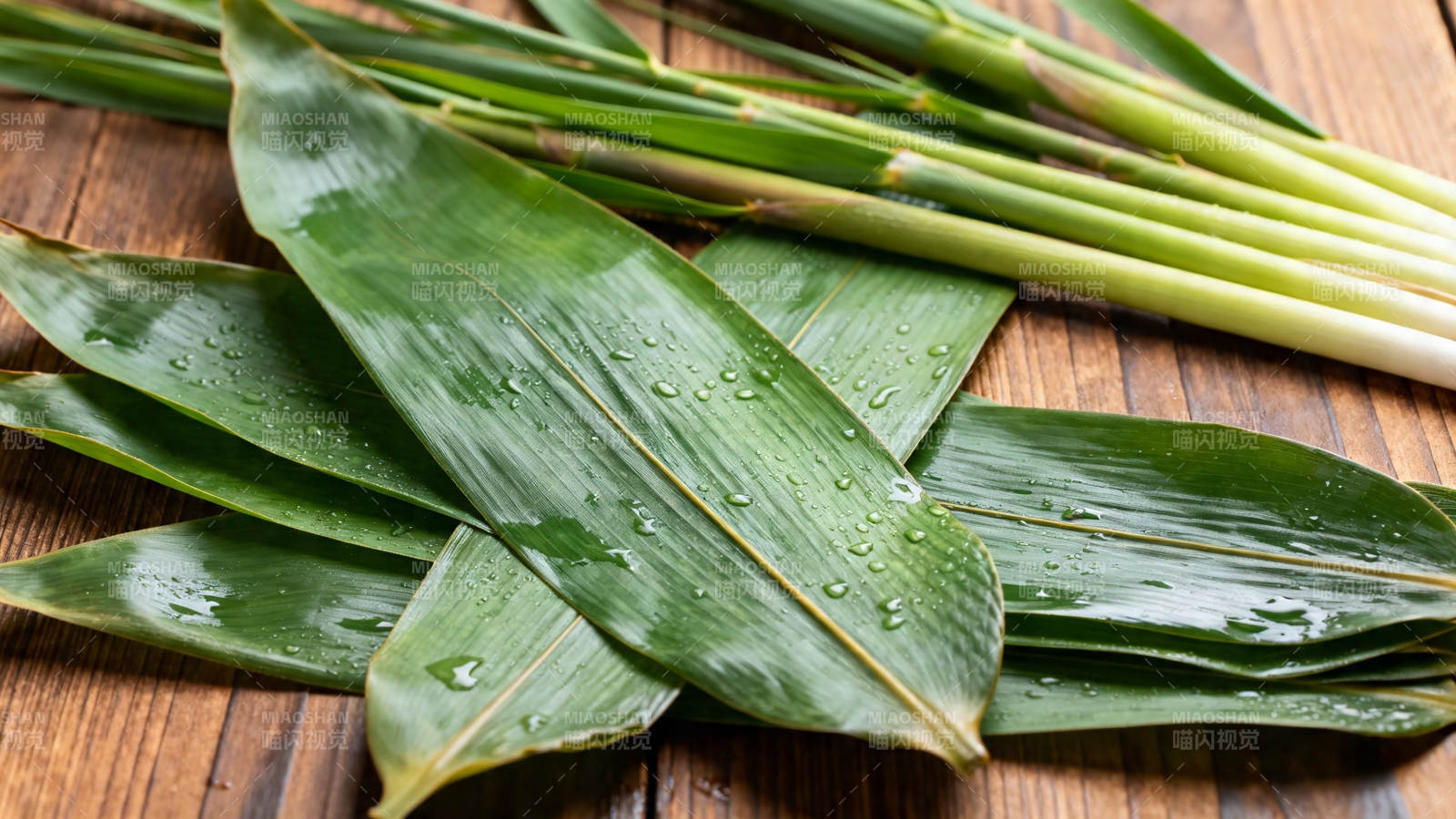 竹叶带露 清新自然图片