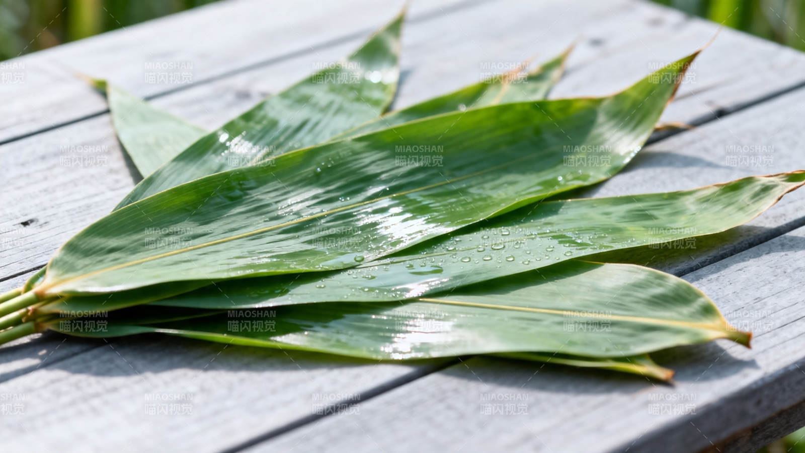 竹叶带露 静置木桌之上图片