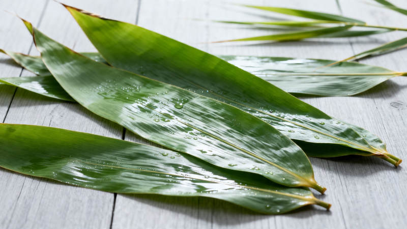 竹叶带水 清新自然图片