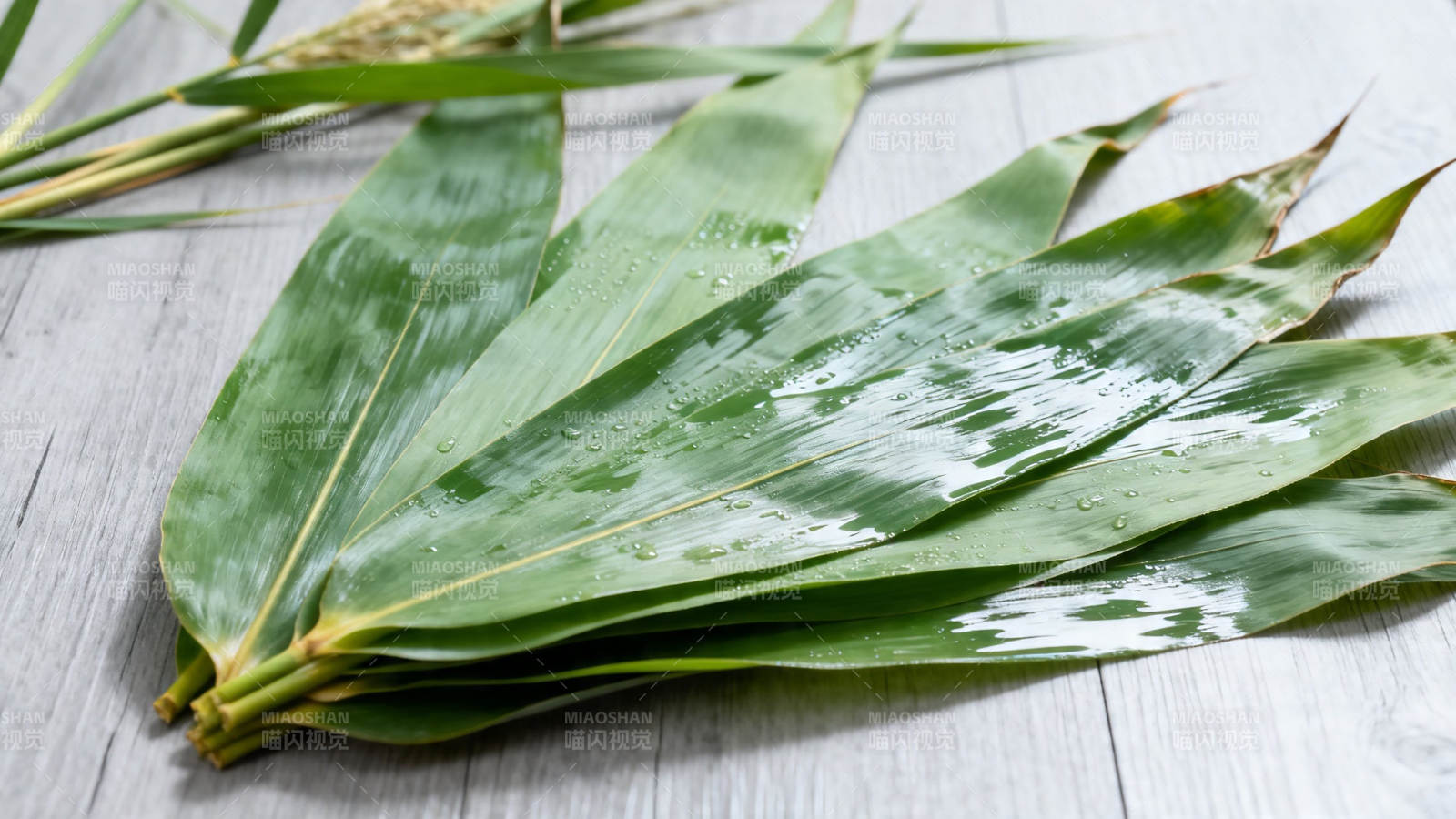 粽叶青翠 水珠晶莹图片