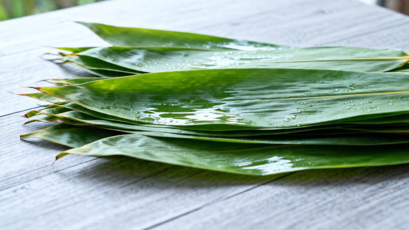 竹叶滴水 清新自然图片