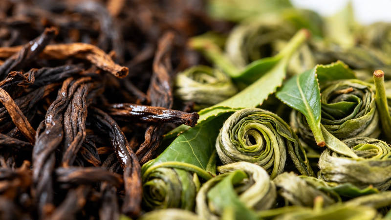 红茶与绿茶的特写对比图片