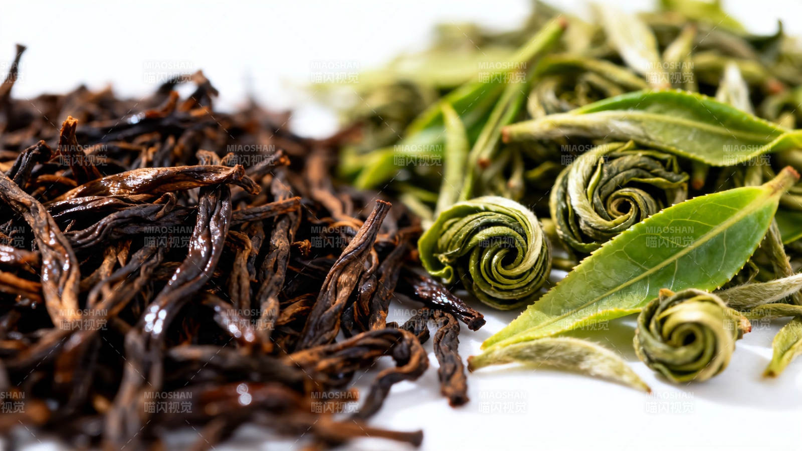 红茶与绿茶对比图图片