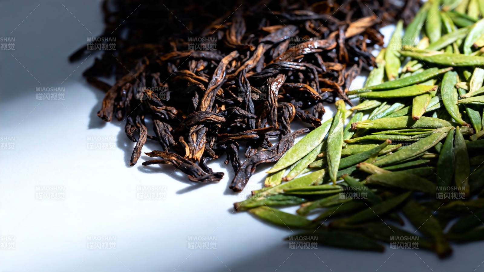 红茶绿茶对比图图片