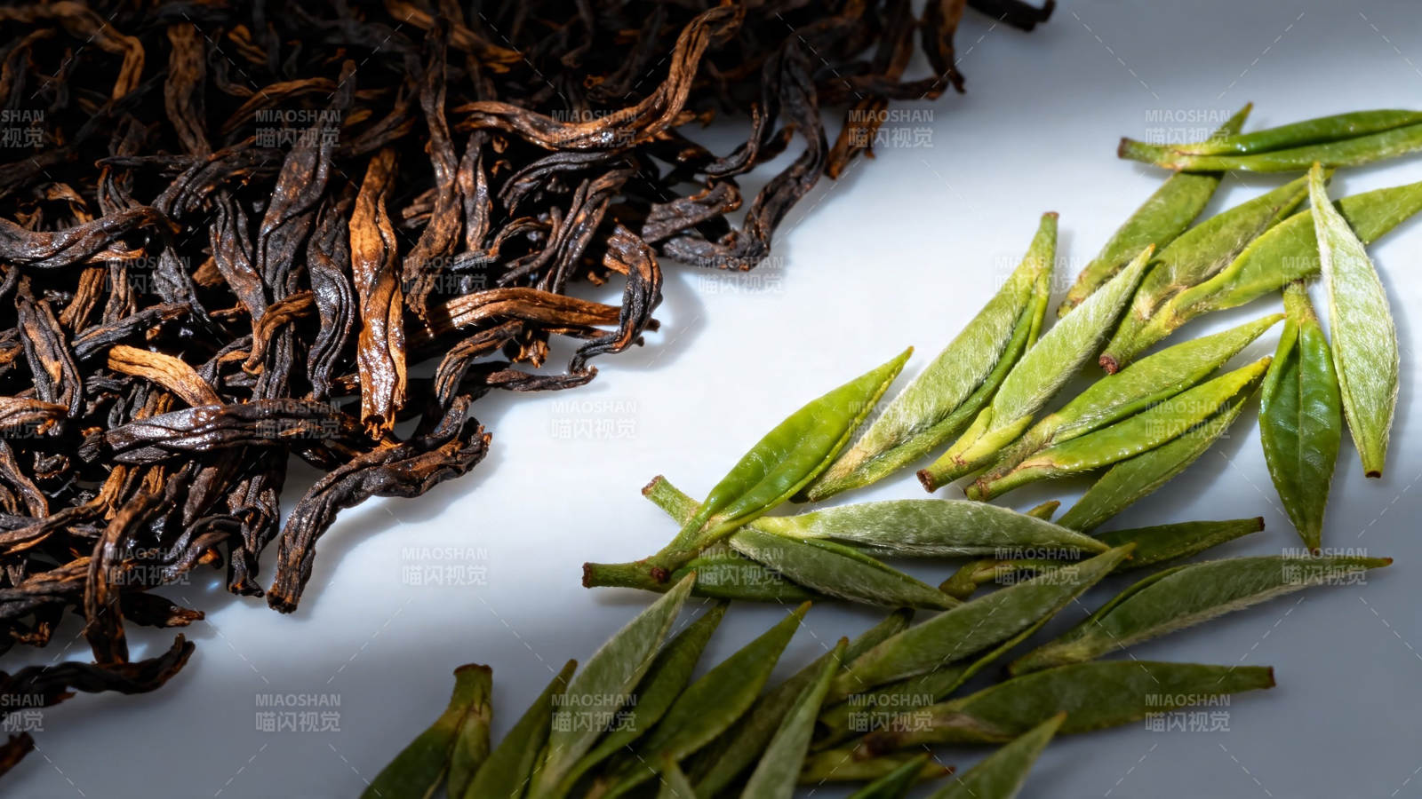 红绿茶叶对比图图片