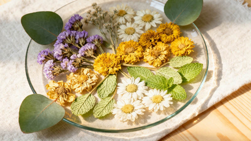 干花叶艺盘 自然静美风图片